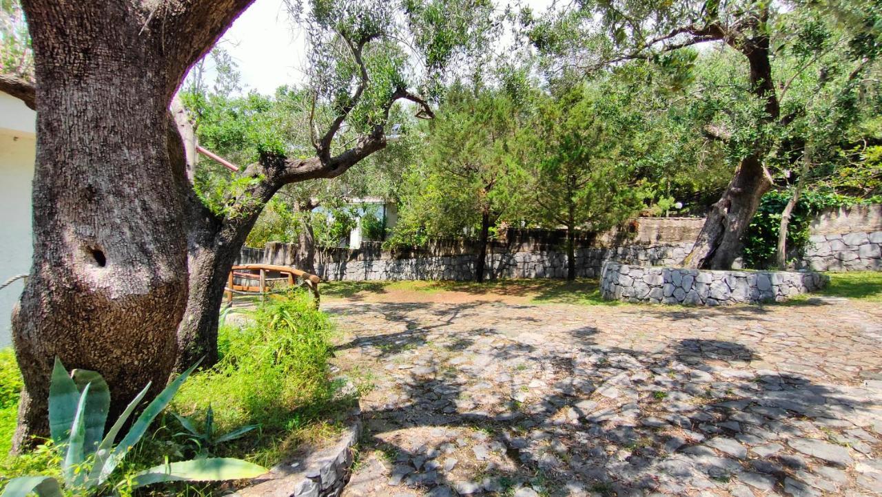 Villa Irma Марина ди Камерота Екстериор снимка