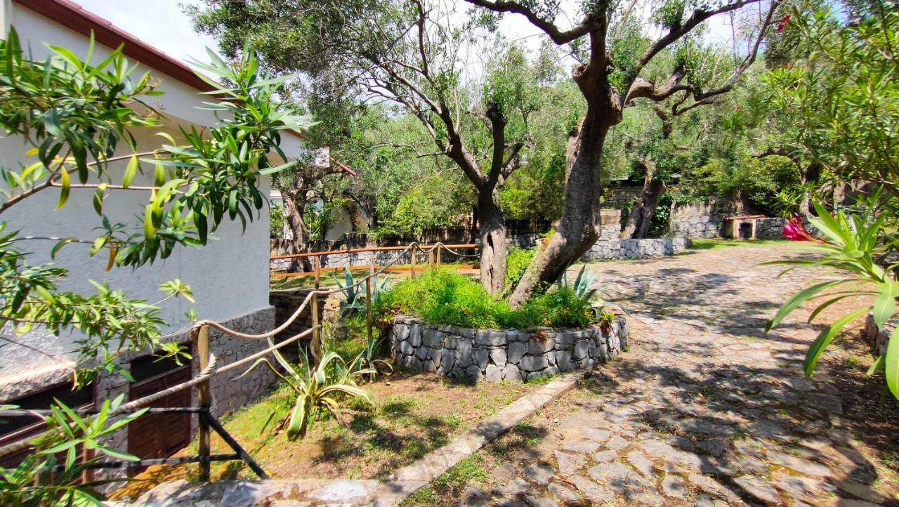 Villa Irma Марина ди Камерота Екстериор снимка