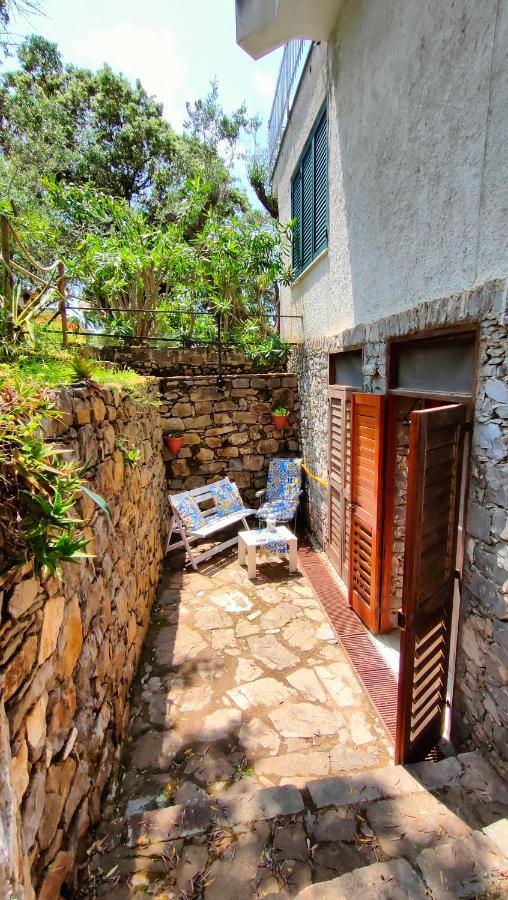 Villa Irma Марина ди Камерота Екстериор снимка