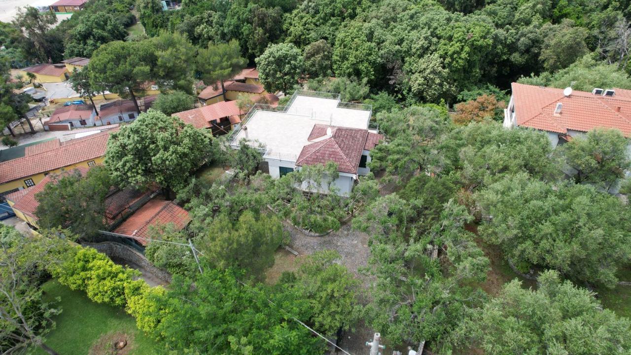 Villa Irma Марина ди Камерота Екстериор снимка